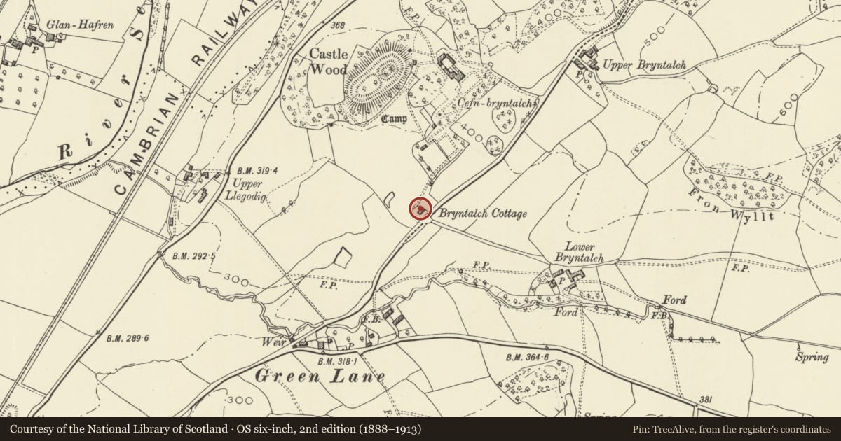 Ordnance Survey six-inch map, 2nd edition (1888–1913) covering the location of Bryntalch Villa, Llandyssil, Powys, with a pin at the register's coordinates