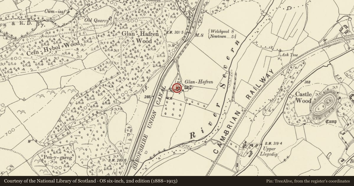 Ordnance Survey six-inch map, 2nd edition (1888–1913) covering the location of Glanhafren, Llandyssil, Powys, with a pin at the register's coordinates