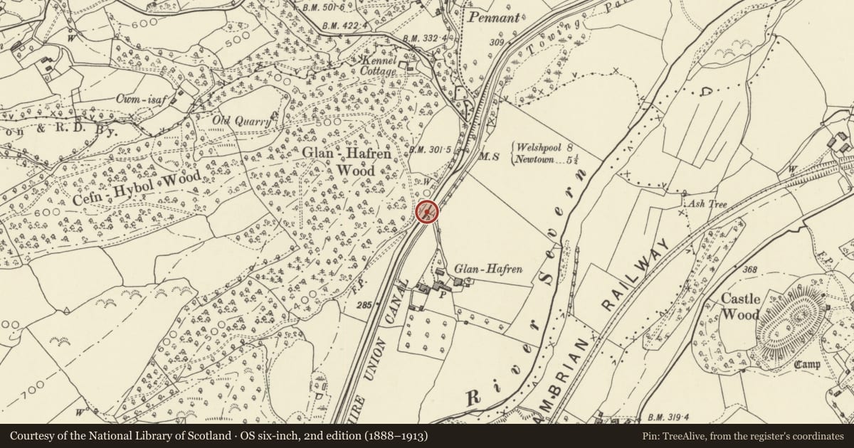 Ordnance Survey six-inch map, 2nd edition (1888–1913) covering the location of Bridge 143 over the Montgomeryshire Canal, Llandyssil, Powys, with a pin at the register's coordinates