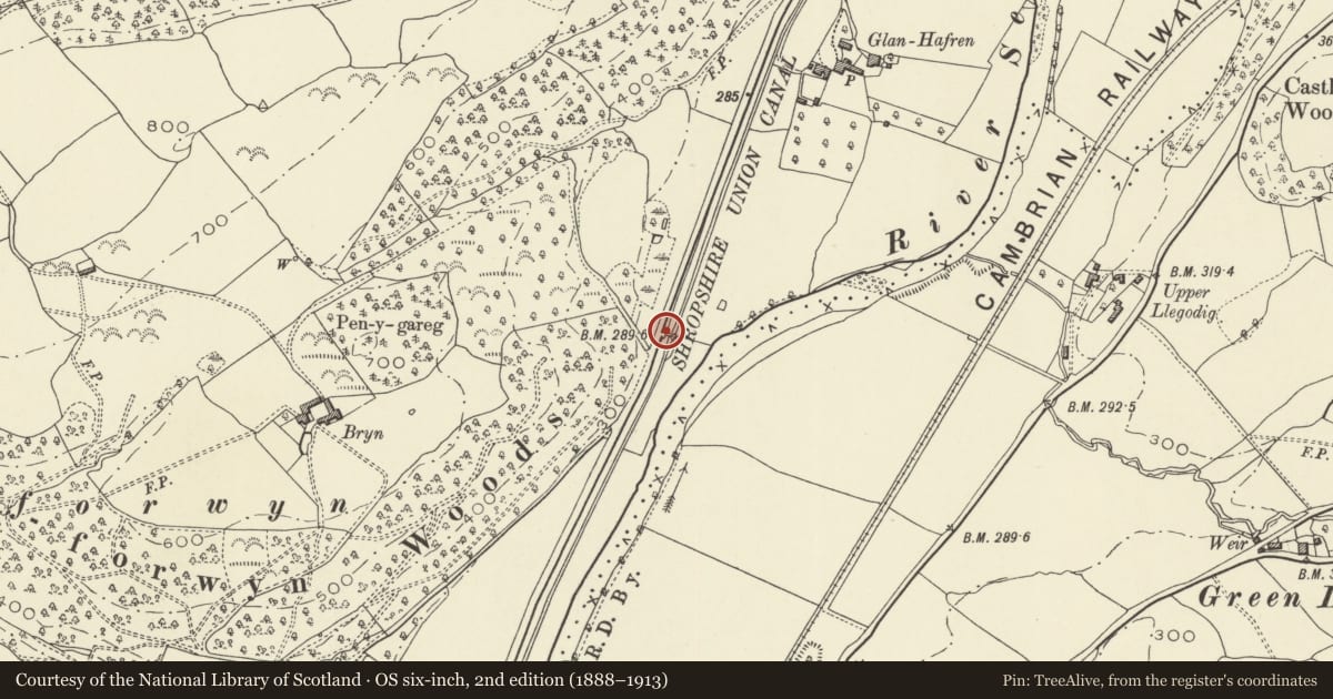 Ordnance Survey six-inch map, 2nd edition (1888–1913) covering the location of Bridge 144 over the Montgomeryshire Canal, Llandyssil, Powys, with a pin at the register's coordinates