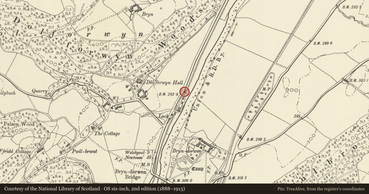 Ordnance Survey six-inch map, 2nd edition (1888–1913) covering the location of Bridge 145 over the Montgomeryshire Canal, Llandyssil, Powys, with a pin at the register's coordinates