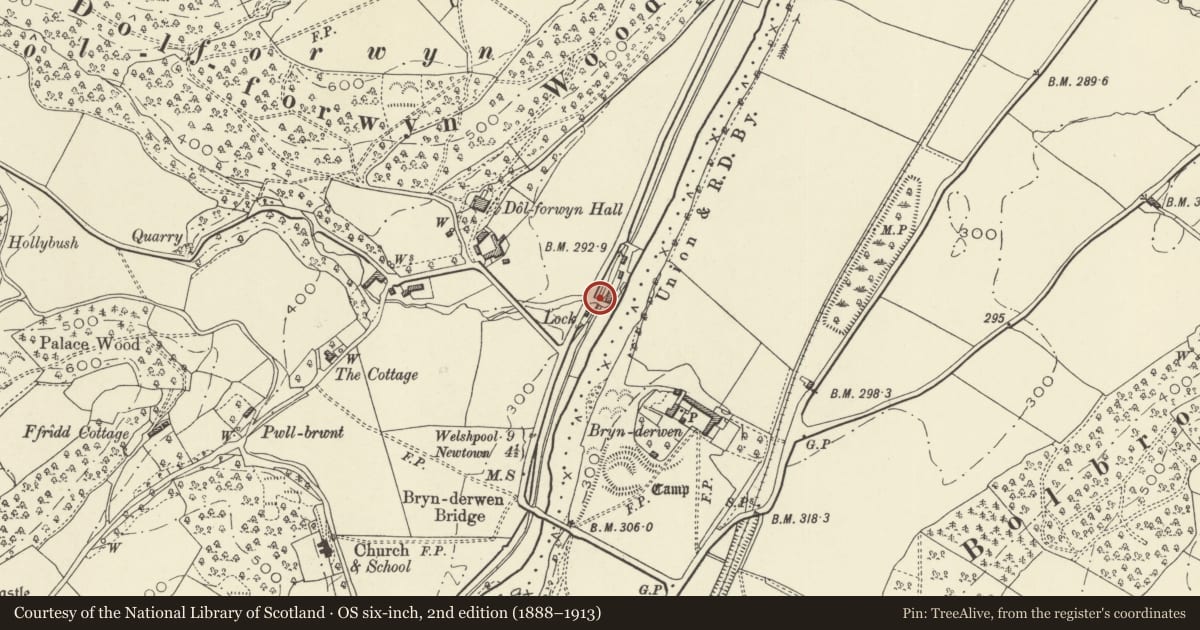 Ordnance Survey six-inch map, 2nd edition (1888–1913) covering the location of Bridge 146 and Brynderwen Lock, Llandyssil, Powys, with a pin at the register's coordinates