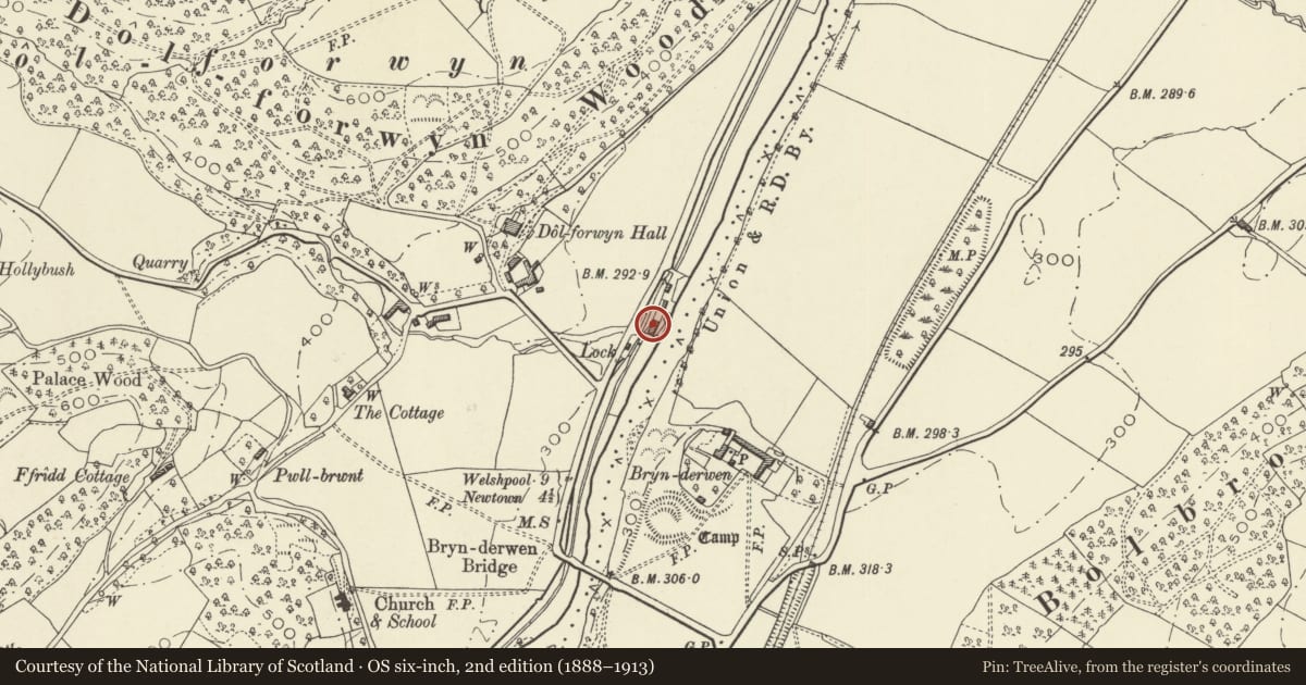 Ordnance Survey six-inch map, 2nd edition (1888–1913) covering the location of Brynderwen Warehouse, Llandyssil, Powys, with a pin at the register's coordinates