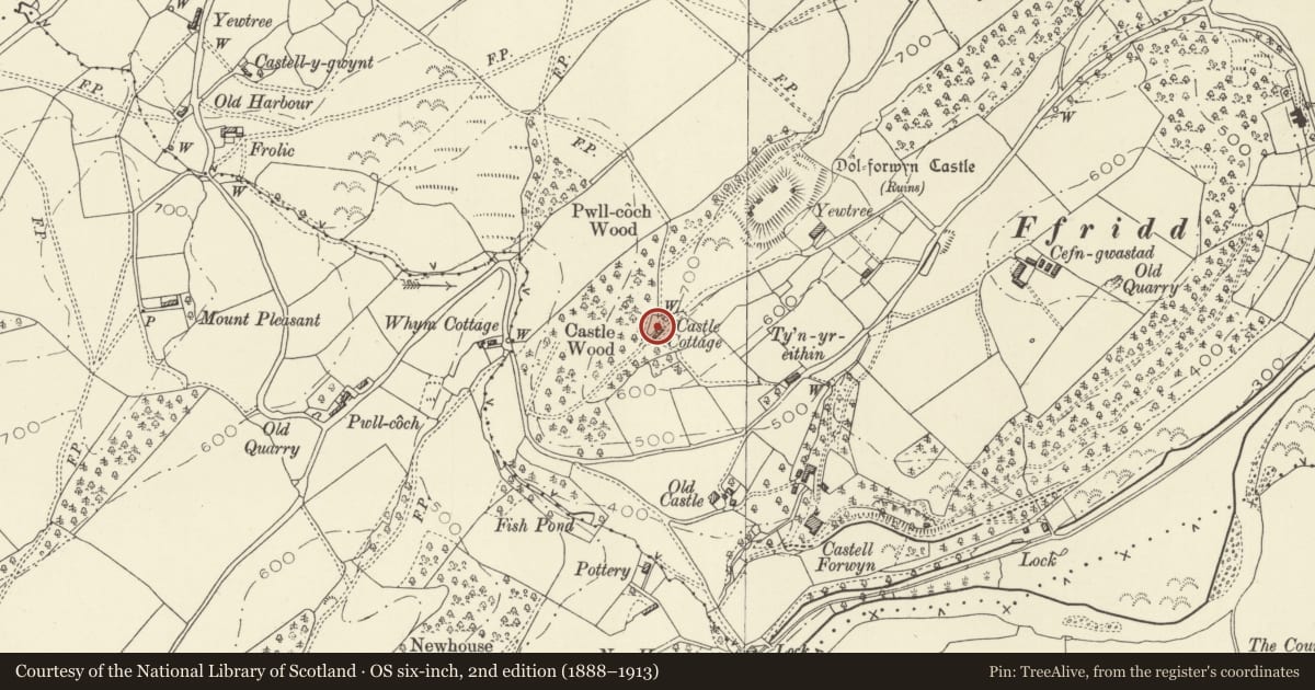 Ordnance Survey six-inch map, 2nd edition (1888–1913) covering the location of Castle Cottage, Llandyssil, Powys, with a pin at the register's coordinates