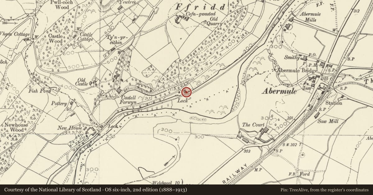 Ordnance Survey six-inch map, 2nd edition (1888–1913) covering the location of Bridge 148 and Byles Lock, Llandyssil, Powys, with a pin at the register's coordinates
