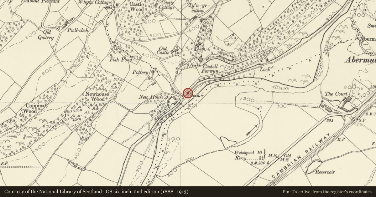 Ordnance Survey six-inch map, 2nd edition (1888–1913) covering the location of Bridge 149 over the Montgomeryshire Canal and Lock, Llandyssil, Powys, with a pin at the register's coordinates