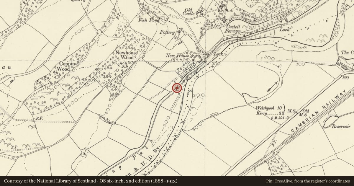 Ordnance Survey six-inch map, 2nd edition (1888–1913) covering the location of Bridge 150 over the Montgomeryshire Canal, Llandyssil, Powys, with a pin at the register's coordinates