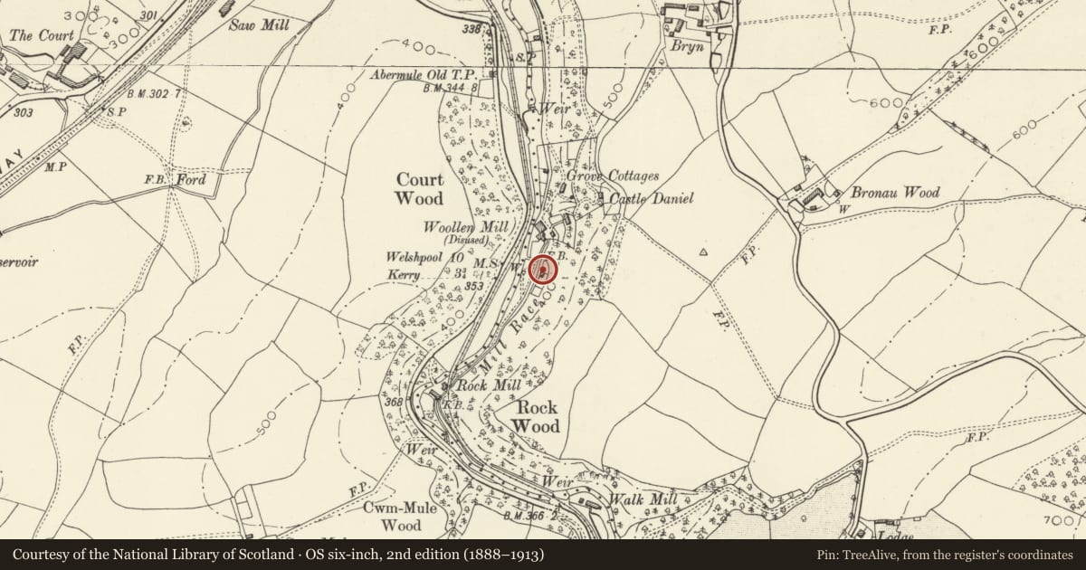 Ordnance Survey six-inch map, 2nd edition (1888–1913) covering the location of Rock Cottage, Llandyssil, Powys, with a pin at the register's coordinates