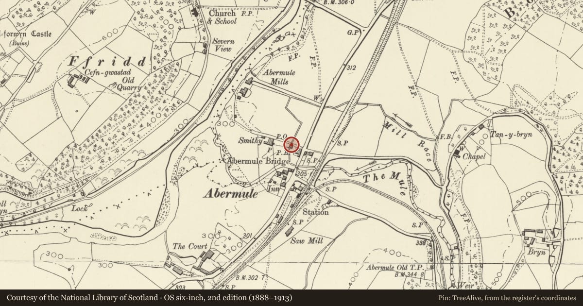 Ordnance Survey six-inch map, 2nd edition (1888–1913) covering the location of Oak Tree Cottage, Llandyssil, Powys, with a pin at the register's coordinates