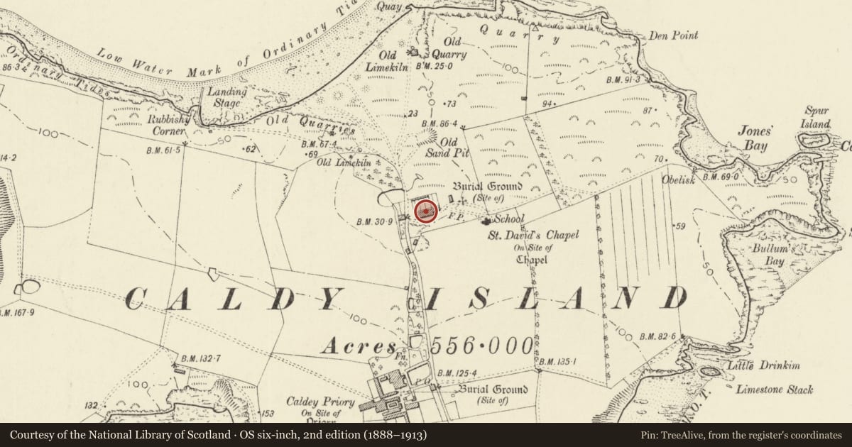 Ordnance Survey six-inch map, 2nd edition (1888–1913) covering the location of The Cottages, Tenby, Pembrokeshire, with a pin at the register's coordinates