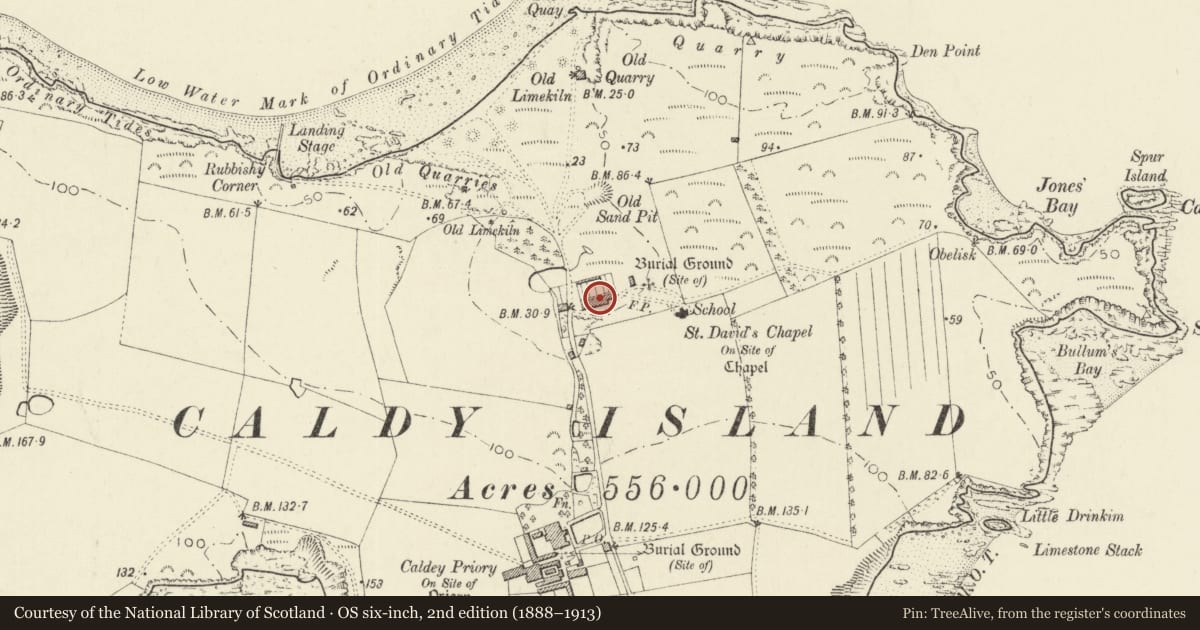 Ordnance Survey six-inch map, 2nd edition (1888–1913) covering the location of The Cottages, Tenby, Pembrokeshire, with a pin at the register's coordinates