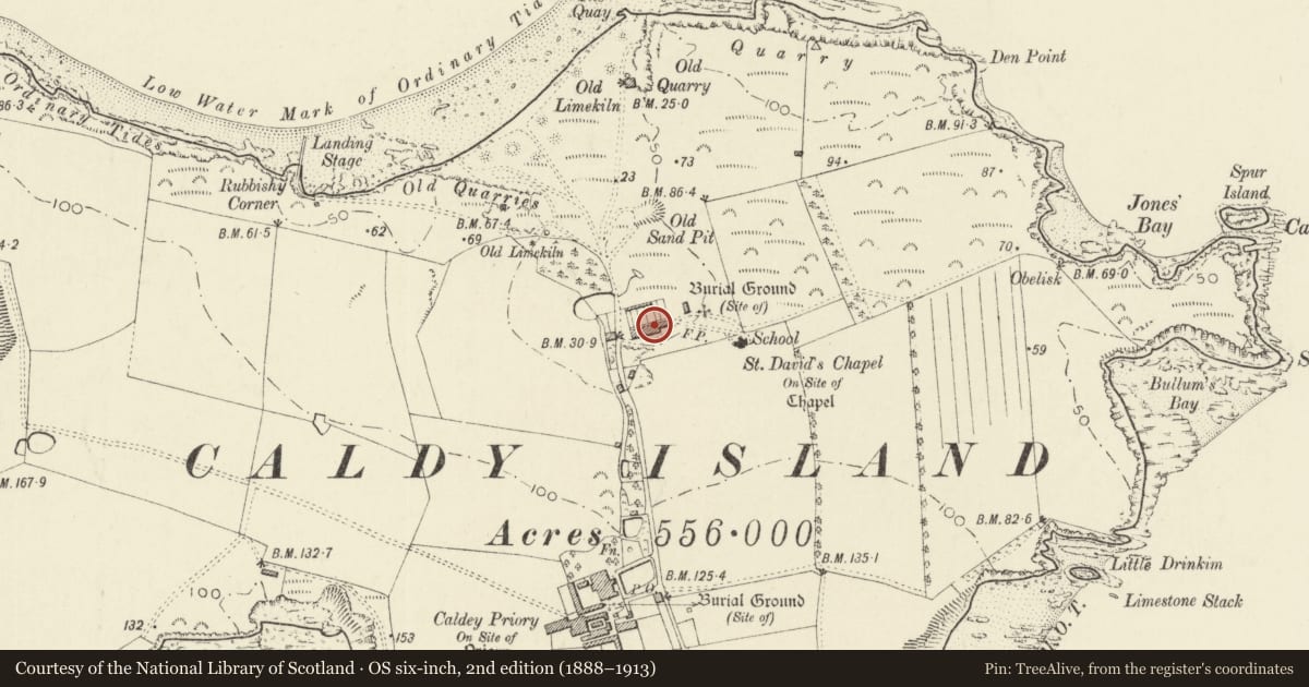 Ordnance Survey six-inch map, 2nd edition (1888–1913) covering the location of The Cottages, Tenby, Pembrokeshire, with a pin at the register's coordinates