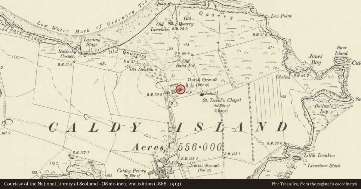 Ordnance Survey six-inch map, 2nd edition (1888–1913) covering the location of The Cottages, Tenby, Pembrokeshire, with a pin at the register's coordinates