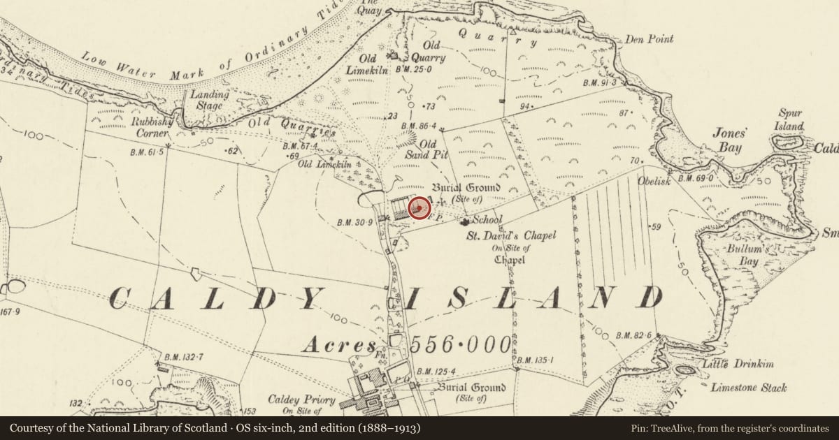 Ordnance Survey six-inch map, 2nd edition (1888–1913) covering the location of The Cottages, Tenby, Pembrokeshire, with a pin at the register's coordinates