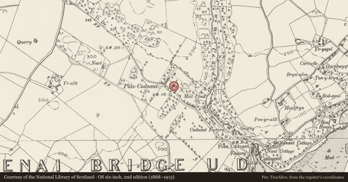 Ordnance Survey six-inch map, 2nd edition (1888–1913) covering the location of Plas Cadnant domestic service outbuilding and wall, Menai Bridge, Isle of Anglesey, with a pin at the register's coordinates