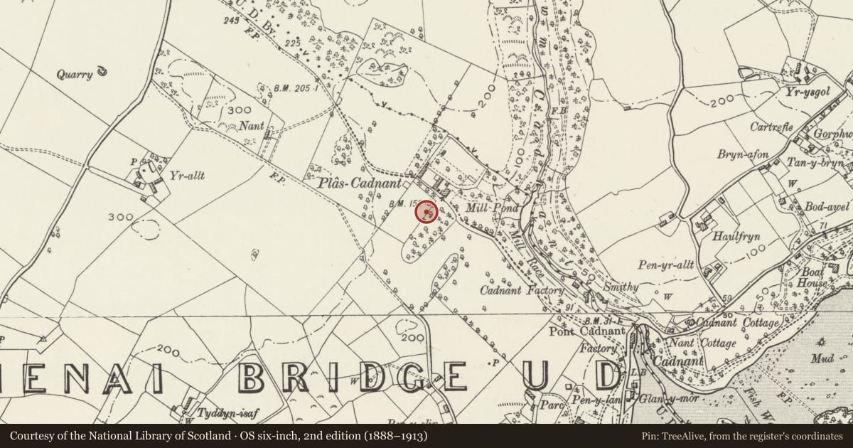 Ordnance Survey six-inch map, 2nd edition (1888–1913) covering the location of Plas Cadnant Icehouse, Menai Bridge, Isle of Anglesey, with a pin at the register's coordinates