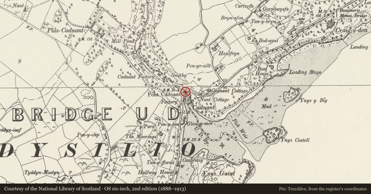 Ordnance Survey six-inch map, 2nd edition (1888–1913) covering the location of Bridge over Afon Cadnant, Menai Bridge, Isle of Anglesey, with a pin at the register's coordinates
