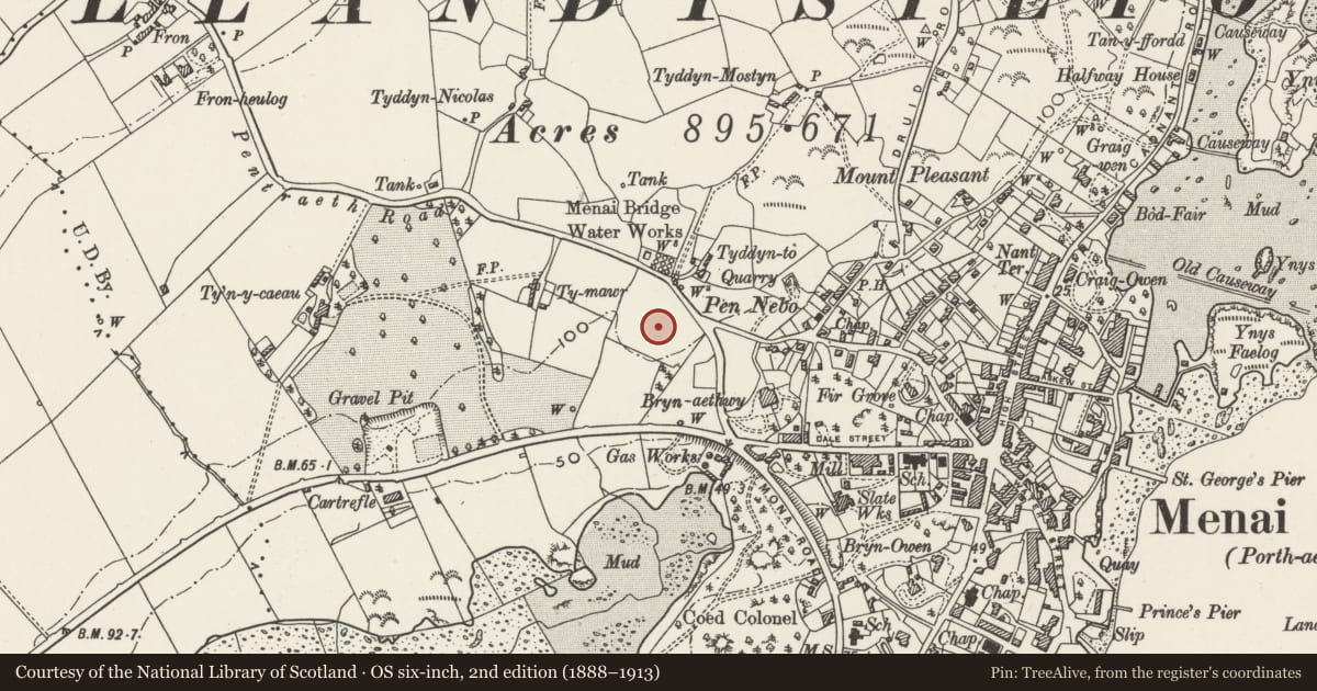 Ordnance Survey six-inch map, 2nd edition (1888–1913) covering the location of Carreg Lwyd, Menai Bridge, Isle of Anglesey, with a pin at the register's coordinates