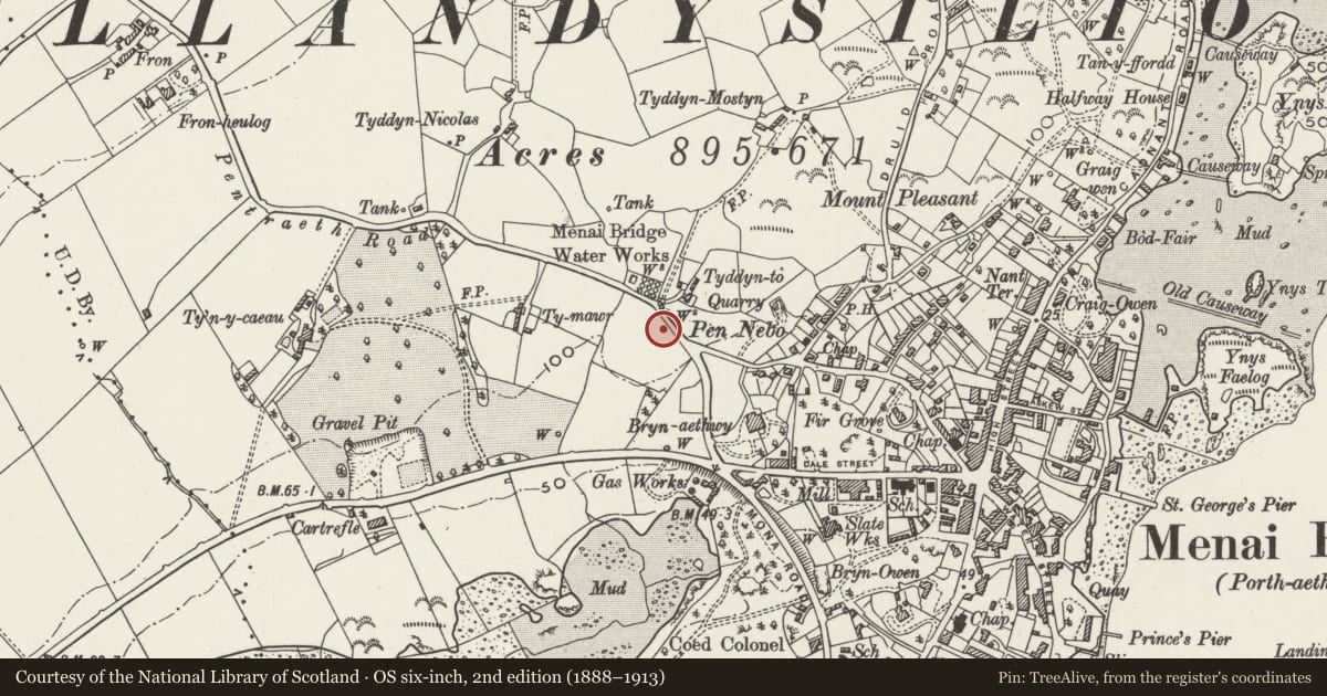 Ordnance Survey six-inch map, 2nd edition (1888–1913) covering the location of Carreg Lwyd gatepiers, Menai Bridge, Isle of Anglesey, with a pin at the register's coordinates