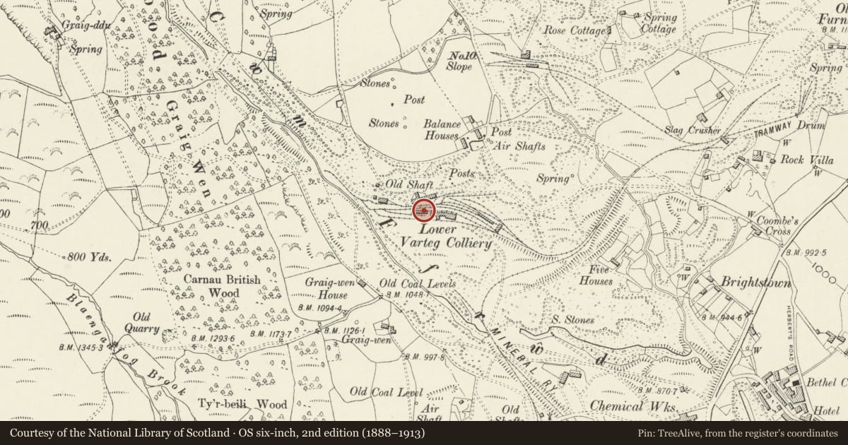 Ordnance Survey six-inch map, 2nd edition (1888–1913) covering the location of 1 The Bungalows, Abersychan, Torfaen, with a pin at the register's coordinates