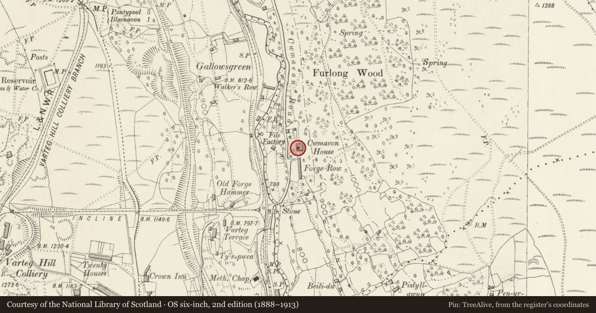Ordnance Survey six-inch map, 2nd edition (1888–1913) covering the location of Cwmavon House, Abersychan, Torfaen, with a pin at the register's coordinates