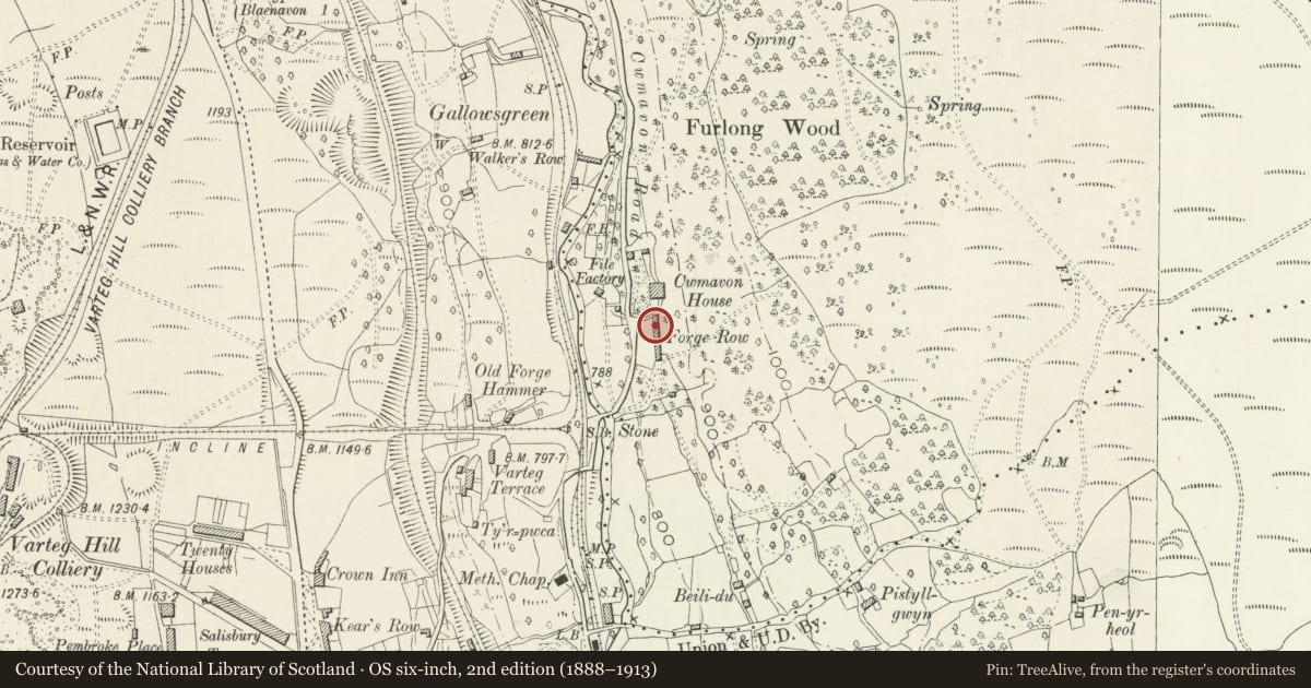 Ordnance Survey six-inch map, 2nd edition (1888–1913) covering the location of 2 Forge Row, Abersychan, Torfaen, with a pin at the register's coordinates