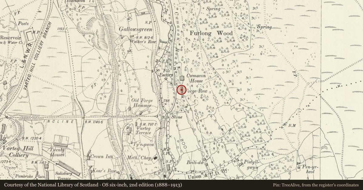 Ordnance Survey six-inch map, 2nd edition (1888–1913) covering the location of 3 Forge Row, Abersychan, Torfaen, with a pin at the register's coordinates