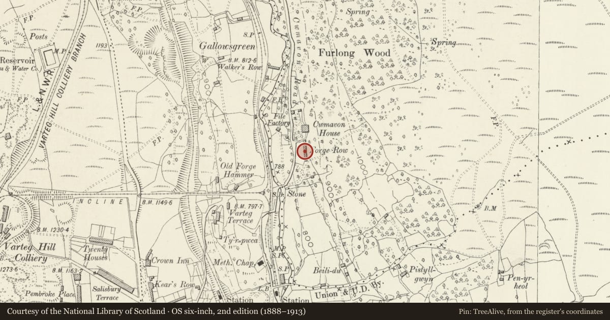 Ordnance Survey six-inch map, 2nd edition (1888–1913) covering the location of 4 Forge Row, Abersychan, Torfaen, with a pin at the register's coordinates