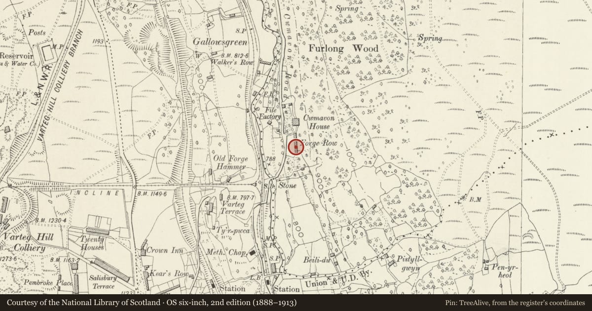 Ordnance Survey six-inch map, 2nd edition (1888–1913) covering the location of 5 Forge Row, Abersychan, Torfaen, with a pin at the register's coordinates