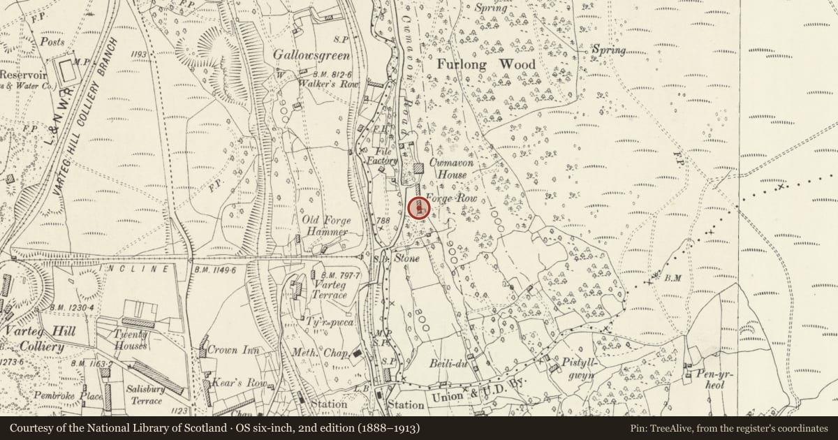 Ordnance Survey six-inch map, 2nd edition (1888–1913) covering the location of 6 Forge Row, Abersychan, Torfaen, with a pin at the register's coordinates