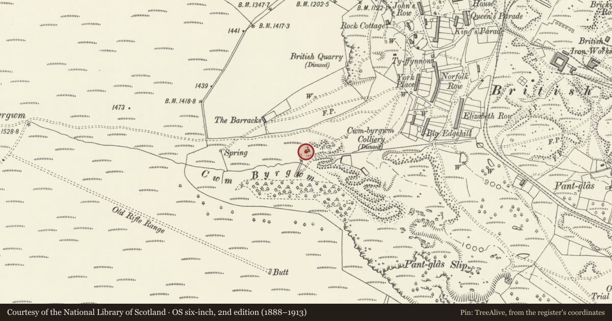 Ordnance Survey six-inch map, 2nd edition (1888–1913) covering the location of Chimney, Abersychan, Torfaen, with a pin at the register's coordinates