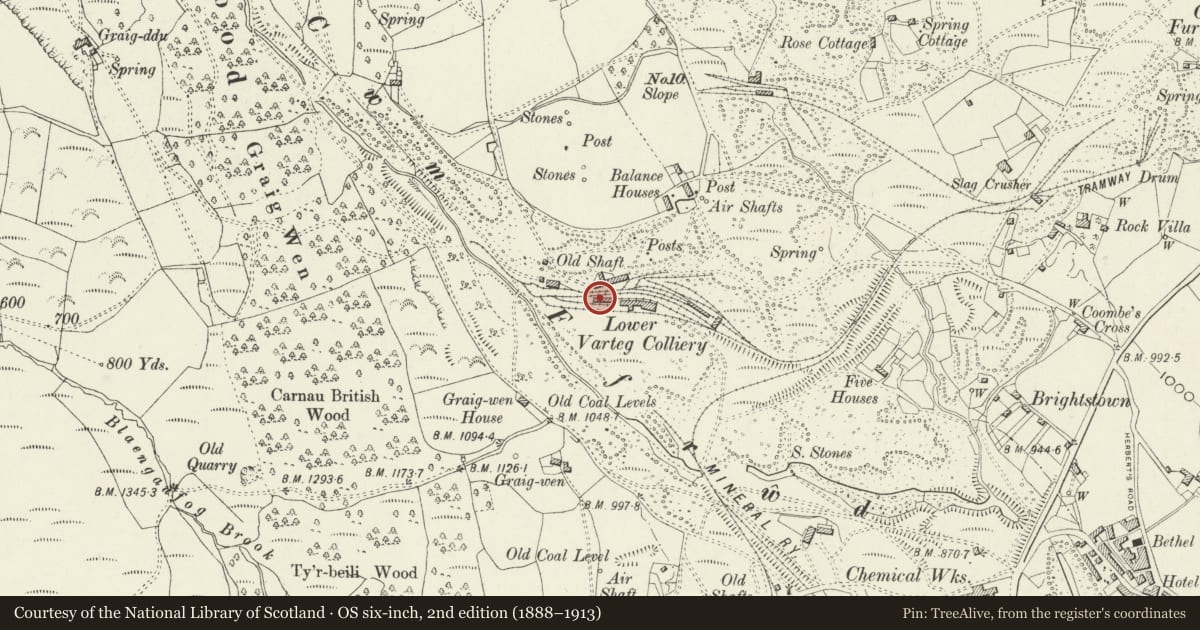 Ordnance Survey six-inch map, 2nd edition (1888–1913) covering the location of 3 The Bungalows, Abersychan, Torfaen, with a pin at the register's coordinates