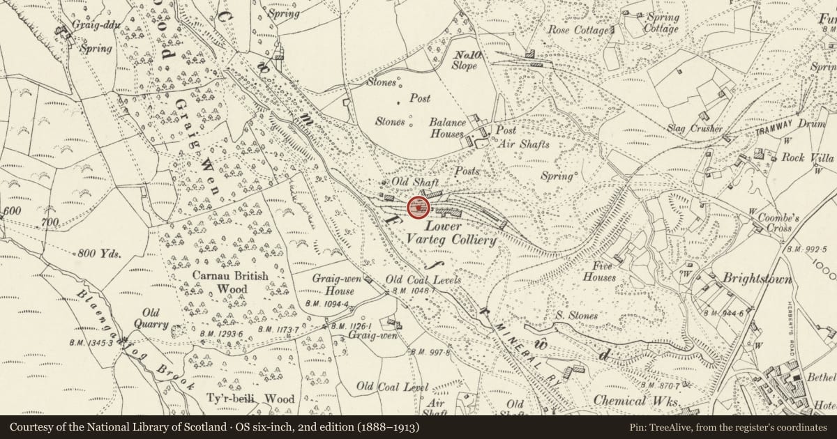 Ordnance Survey six-inch map, 2nd edition (1888–1913) covering the location of 4 The Bungalows, Abersychan, Torfaen, with a pin at the register's coordinates