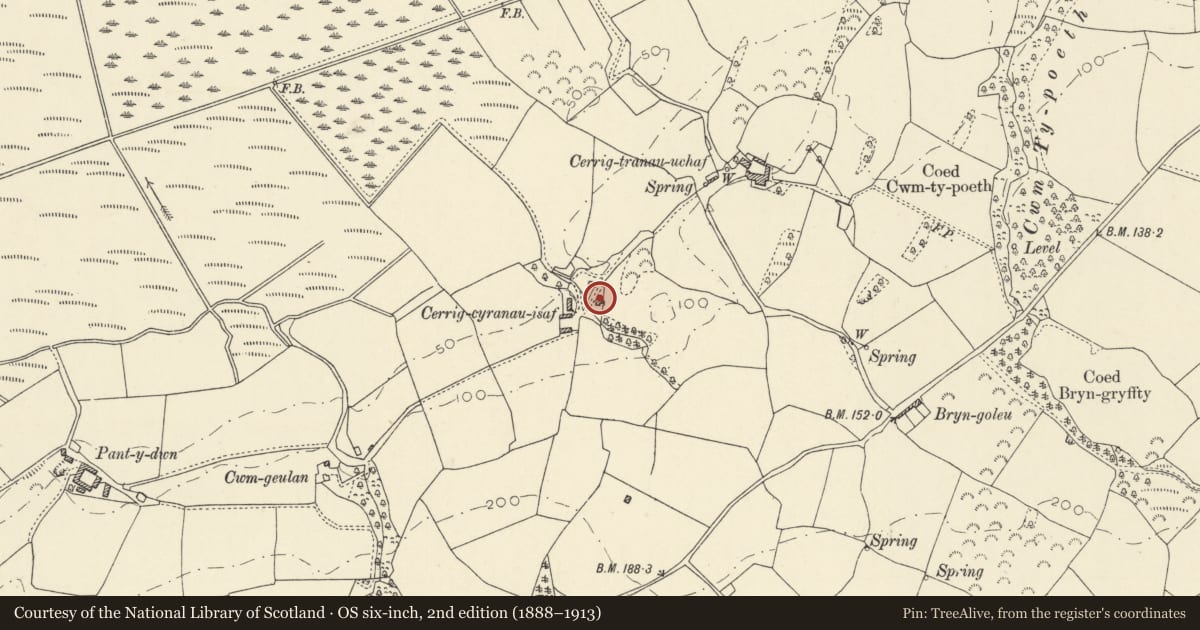 Ordnance Survey six-inch map, 2nd edition (1888–1913) covering the location of Cerrig-cyranau-isaf, Geneu'r Glyn, Ceredigion, with a pin at the register's coordinates
