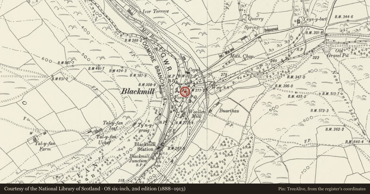 Ordnance Survey six-inch map, 2nd edition (1888–1913) covering the location of Blackmill War Memorial, Ogmore Valley, Bridgend, with a pin at the register's coordinates