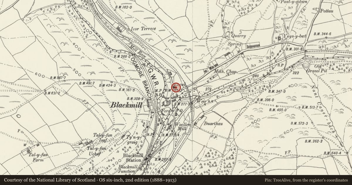 Ordnance Survey six-inch map, 2nd edition (1888–1913) covering the location of Jenkins monument in the graveyard, Paran Chapel, Ogmore Valley, Bridgend, with a pin at the register's coordinates