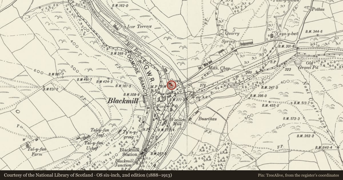 Ordnance Survey six-inch map, 2nd edition (1888–1913) covering the location of Evans chest tomb in graveyard of Paran Chapel, Ogmore Valley, Bridgend, with a pin at the register's coordinates