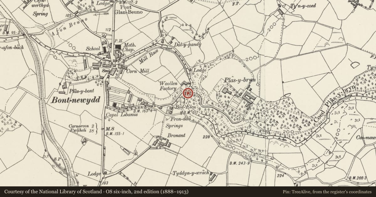 Ordnance Survey six-inch map, 2nd edition (1888–1913) covering the location of Bridge at Plas-y-bryn, Bontnewydd, Gwynedd, with a pin at the register's coordinates