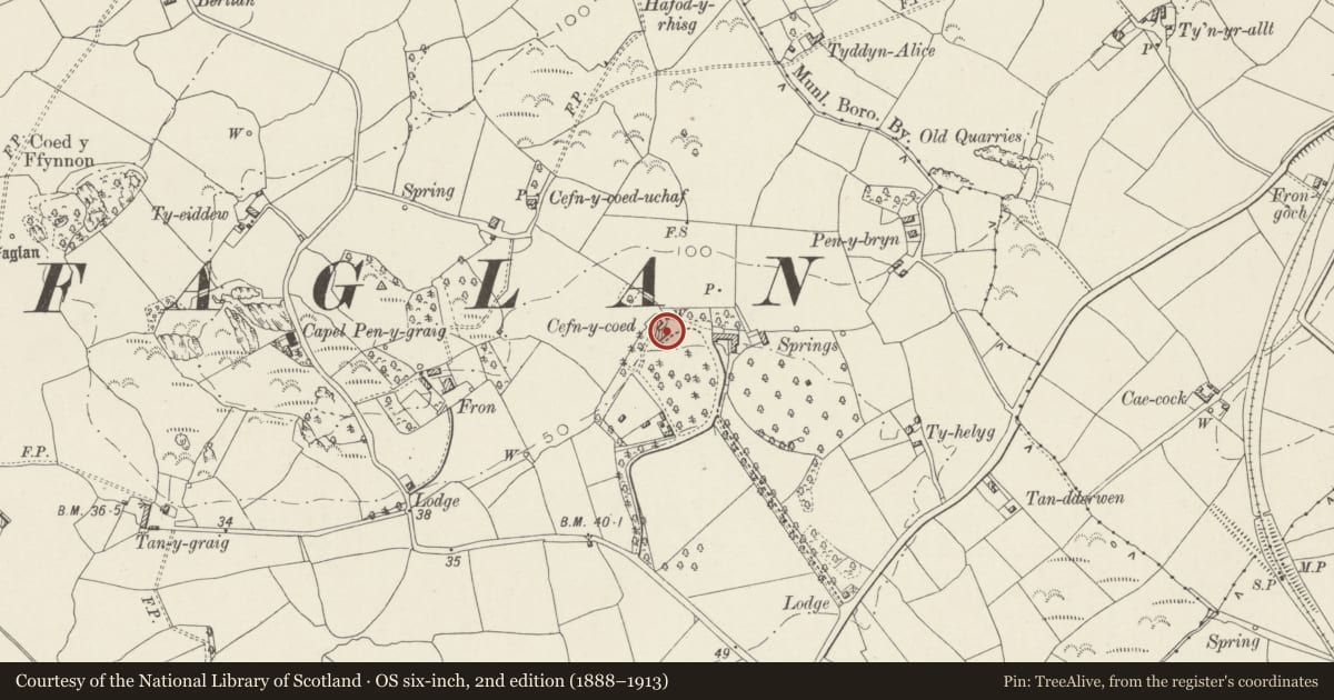 Ordnance Survey six-inch map, 2nd edition (1888–1913) covering the location of Cefn-y-coed, Bontnewydd, Gwynedd, with a pin at the register's coordinates
