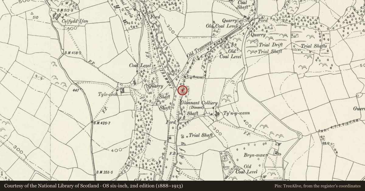 Ordnance Survey six-inch map, 2nd edition (1888–1913) covering the location of Small Tramroad bridge over Nant Cedfyw, Shwt, Garw Valley, Bridgend, with a pin at the register's coordinates