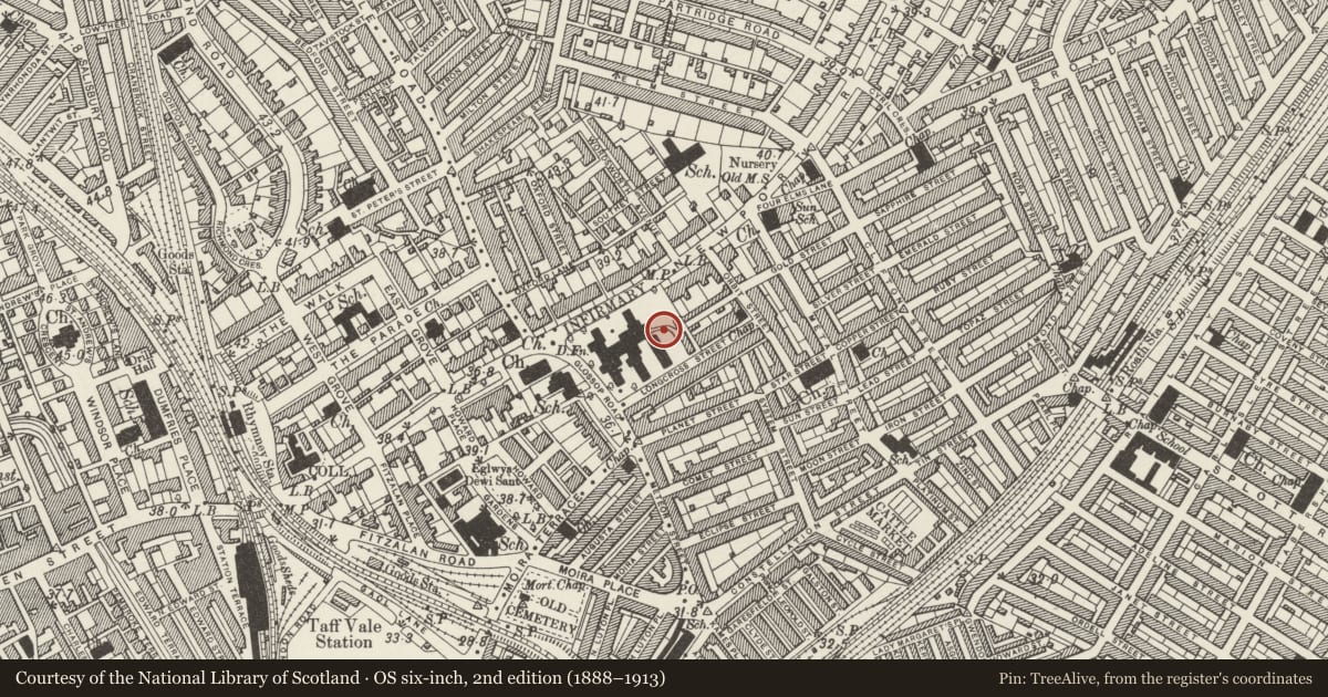 Ordnance Survey six-inch map, 2nd edition (1888–1913) covering the location of Cardiff Royal Infirmary (including forecourt wall and gatepiers), Adamsdown, Cardiff, with a pin at the register's coordinates