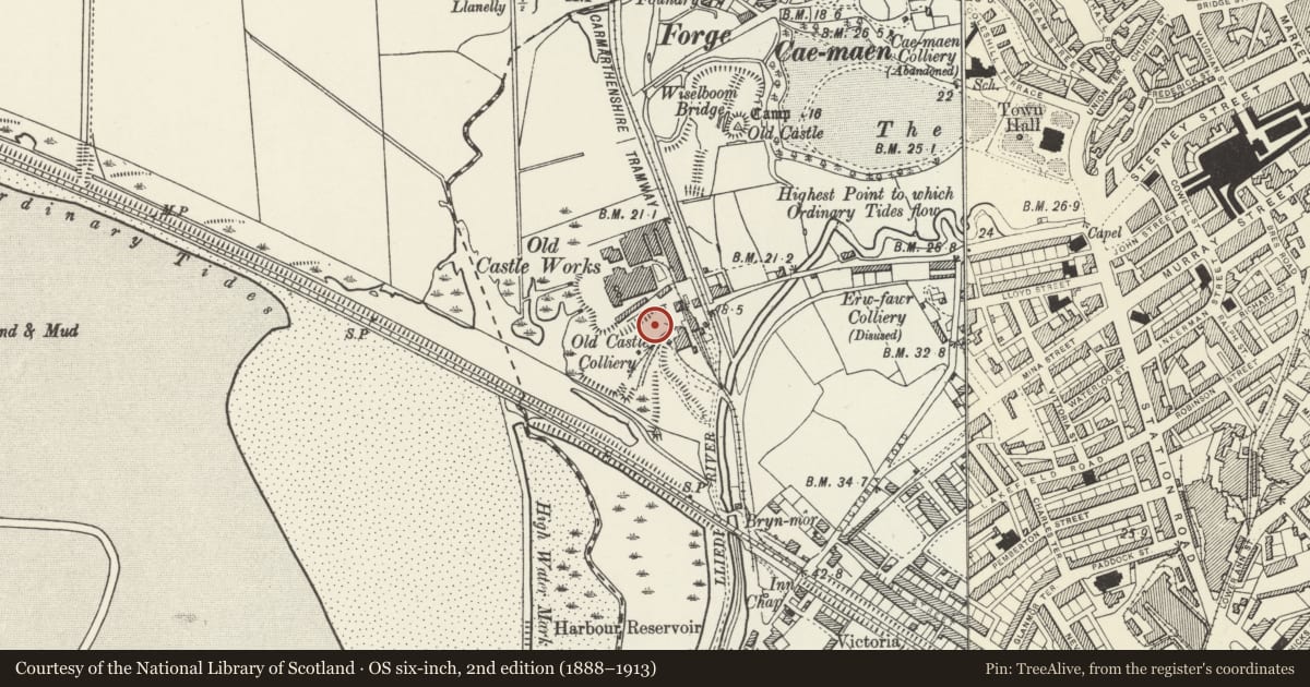 Ordnance Survey six-inch map, 2nd edition (1888–1913) covering the location of Tinhouse, Old Castle Tinplate Works, Llanelli, Carmarthenshire, with a pin at the register's coordinates