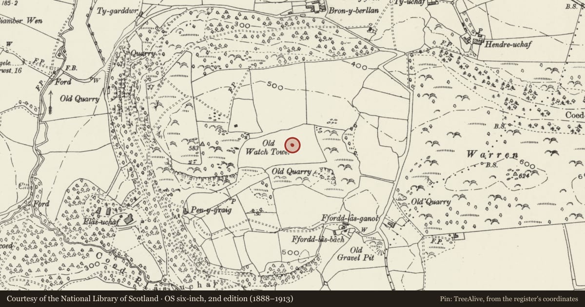 Ordnance Survey six-inch map, 2nd edition (1888–1913) covering the location of Tower on Tower Hill, Abergele, Conwy, with a pin at the register's coordinates