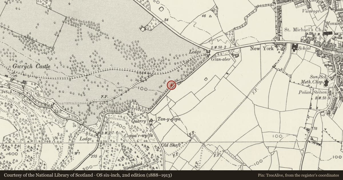 Ordnance Survey six-inch map, 2nd edition (1888–1913) covering the location of Estate Boundary Wall to Gwrych Castle Park (part in Abergele Community), Conwy, with a pin at the register's coordinates