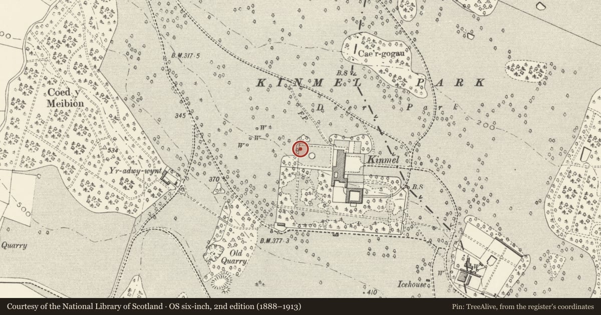 Ordnance Survey six-inch map, 2nd edition (1888–1913) covering the location of Columns in the quadrants of the Venetian Garden at Kinmel, Abergele, Conwy, with a pin at the register's coordinates
