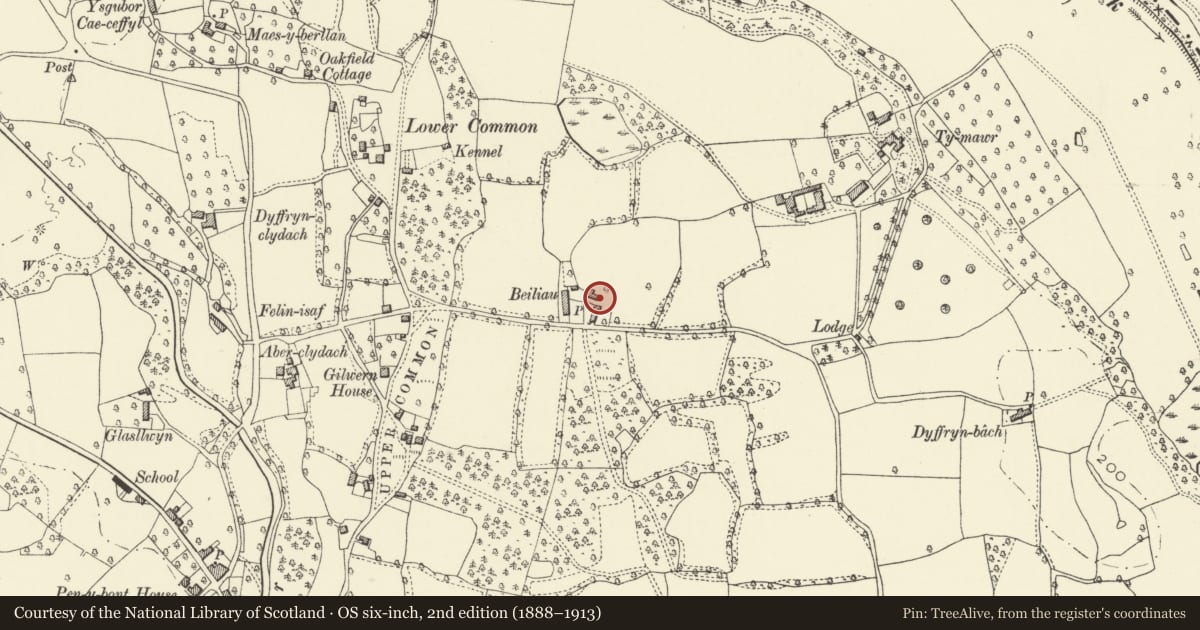 Ordnance Survey six-inch map, 2nd edition (1888–1913) covering the location of Beiliau Farmhouse including forecourt walls, Llanelly, Monmouthshire, with a pin at the register's coordinates