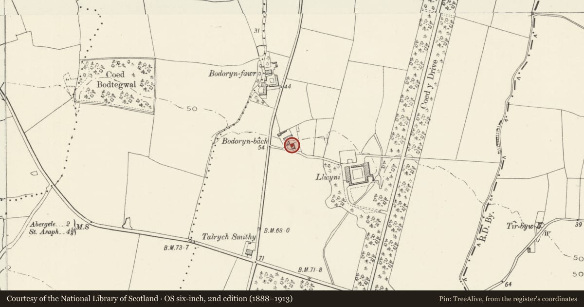 Ordnance Survey six-inch map, 2nd edition (1888–1913) covering the location of Bodoryn-fach, Abergele, Conwy, with a pin at the register's coordinates