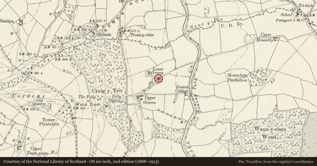 Ordnance Survey six-inch map, 2nd edition (1888–1913) covering the location of Lower Govera Cottage, New Inn, Torfaen, with a pin at the register's coordinates