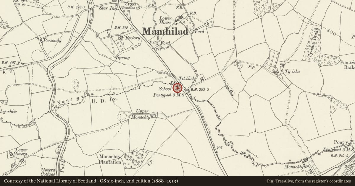 Ordnance Survey six-inch map, 2nd edition (1888–1913) covering the location of Former Mamhilad School, New Inn, Torfaen, with a pin at the register's coordinates