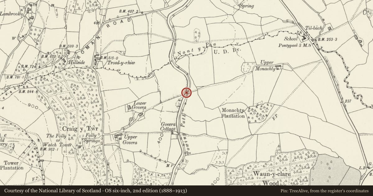 Ordnance Survey six-inch map, 2nd edition (1888–1913) covering the location of Bridge 60, Monmouthshire and Brecon Canal, New Inn, Torfaen, with a pin at the register's coordinates